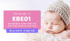 Gói tư vấn ăn no ngủ kỹ EBE01 Gói tư vấn ăn no ngủ kỹ EBE01