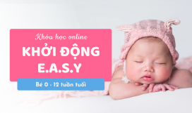 Khóa học Khởi động EASY 0-12w Khóa học Khởi động EASY 0-12w