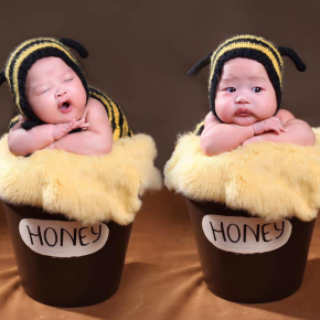 Ong và mật Ong và mật